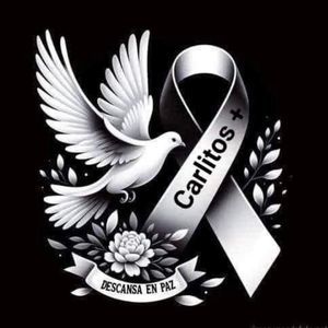 Meet your Posher, Judy